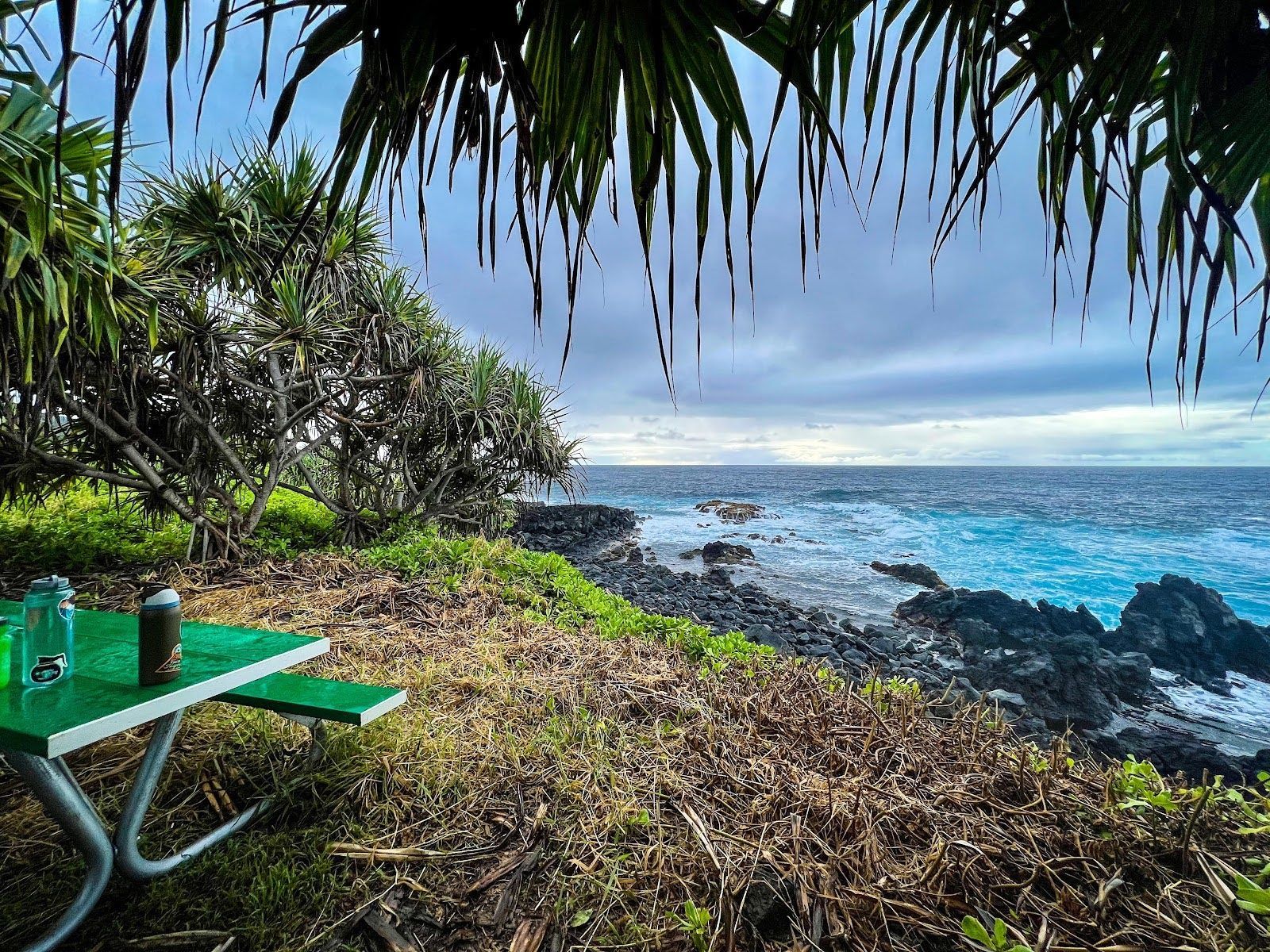Lunch with Mana Vans Hawaii at Kīpahulu Campground in Haleakalā National Park.