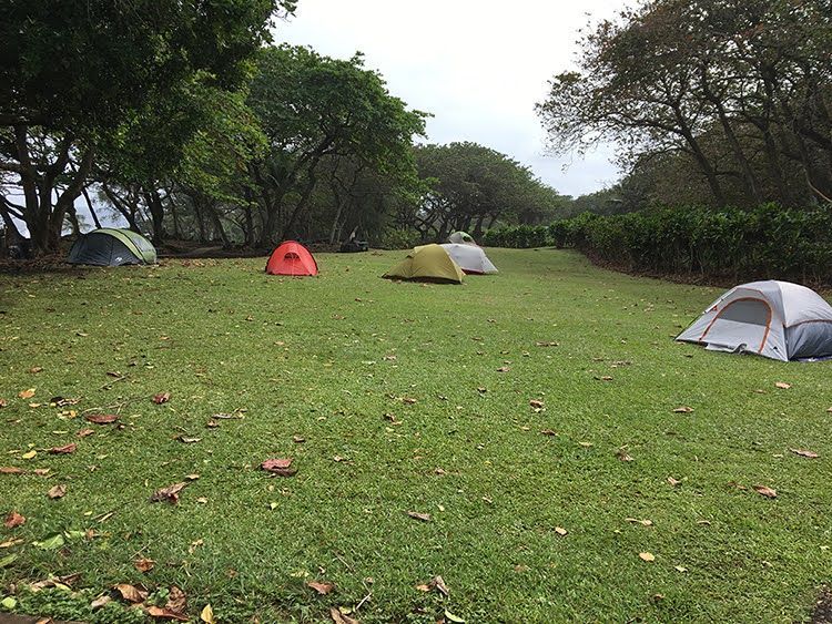 Camp at Waiʻānapanapa State Park with Mana Vans Maui.