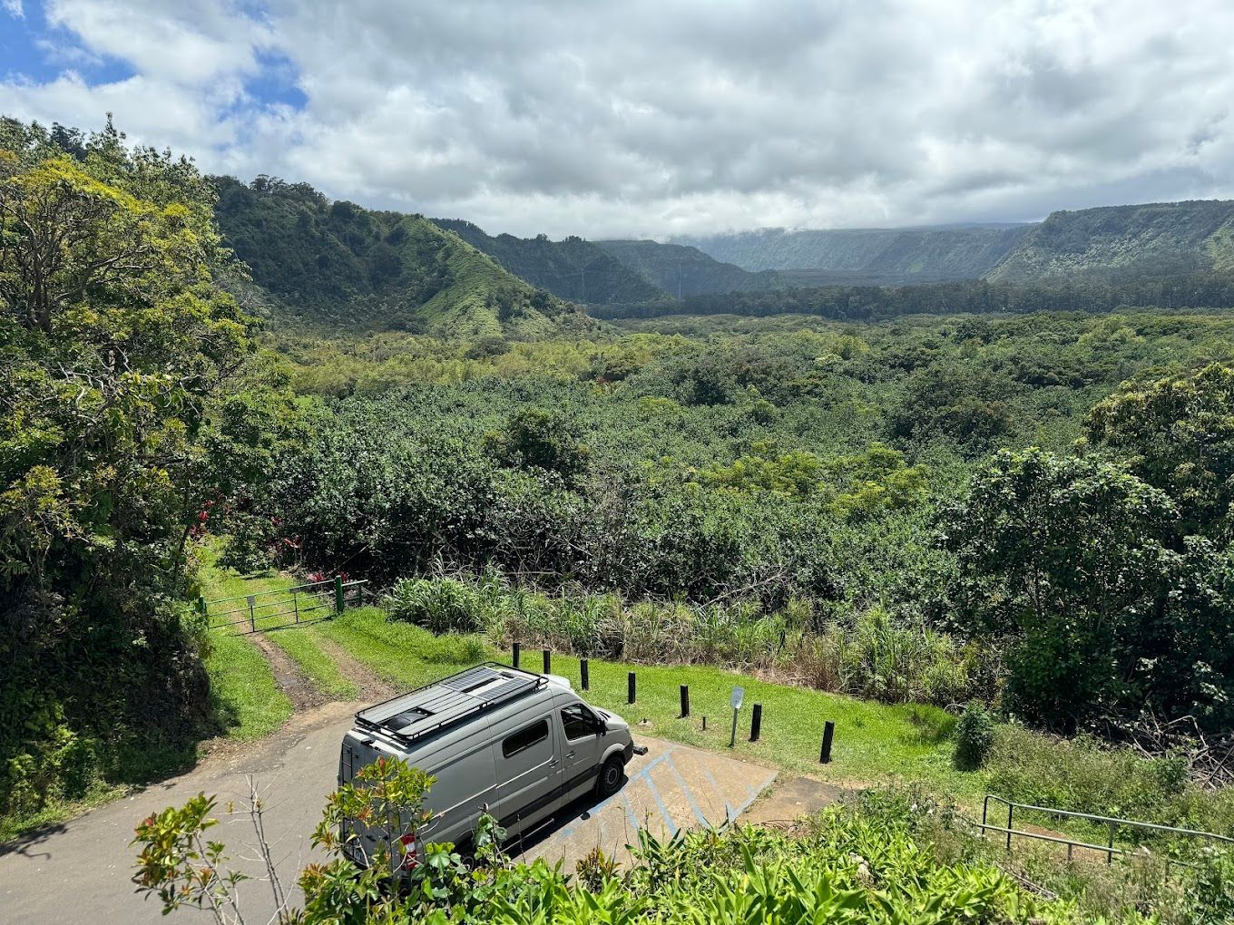 A van with a ladder on the back is parked under a tree.