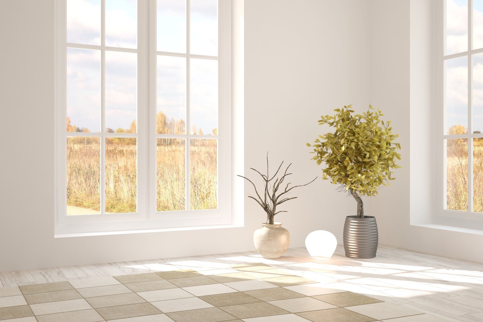 Une pièce vide avec deux plantes en pot devant une fenêtre.
