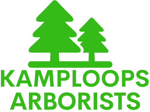 Red Deer Arborists logo