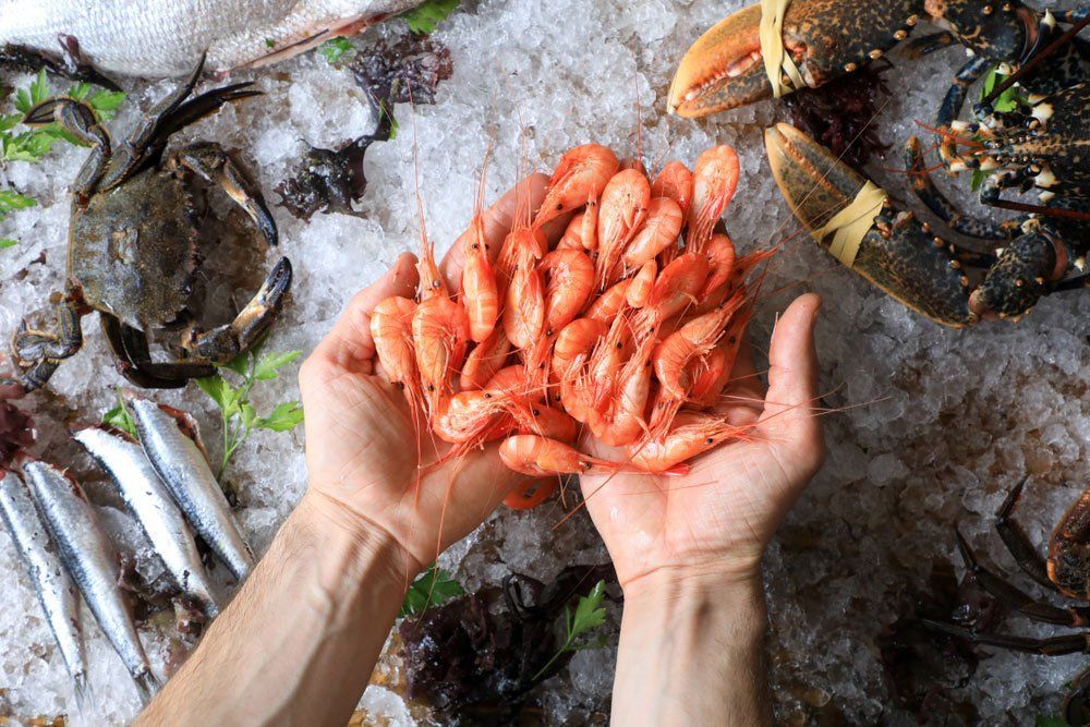 Hands Holding a Mound of Pink Shrimp — Cool Blue Ice & Water in Taminda, NSW