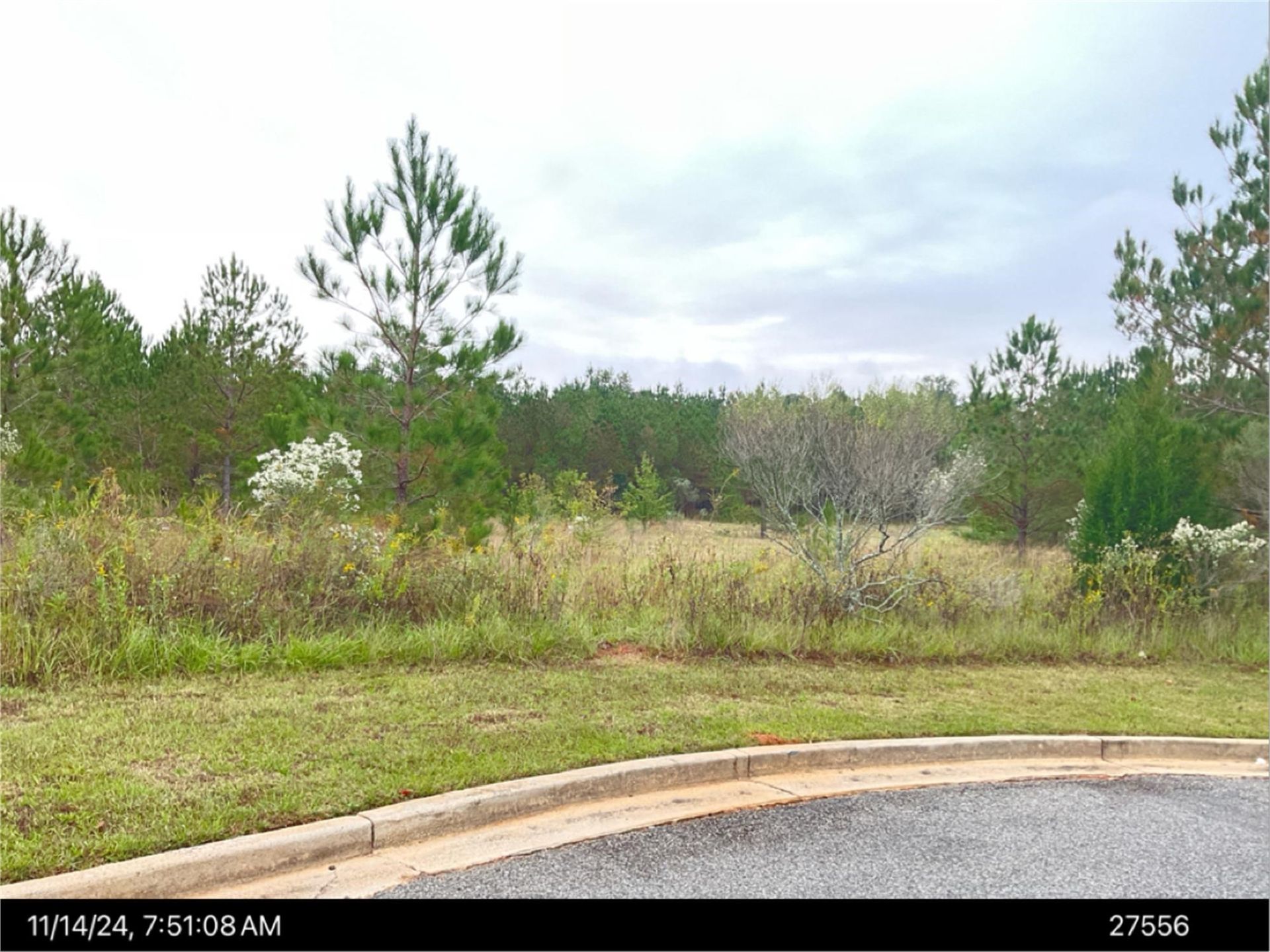 There is a lot of grass and trees on the side of the road.