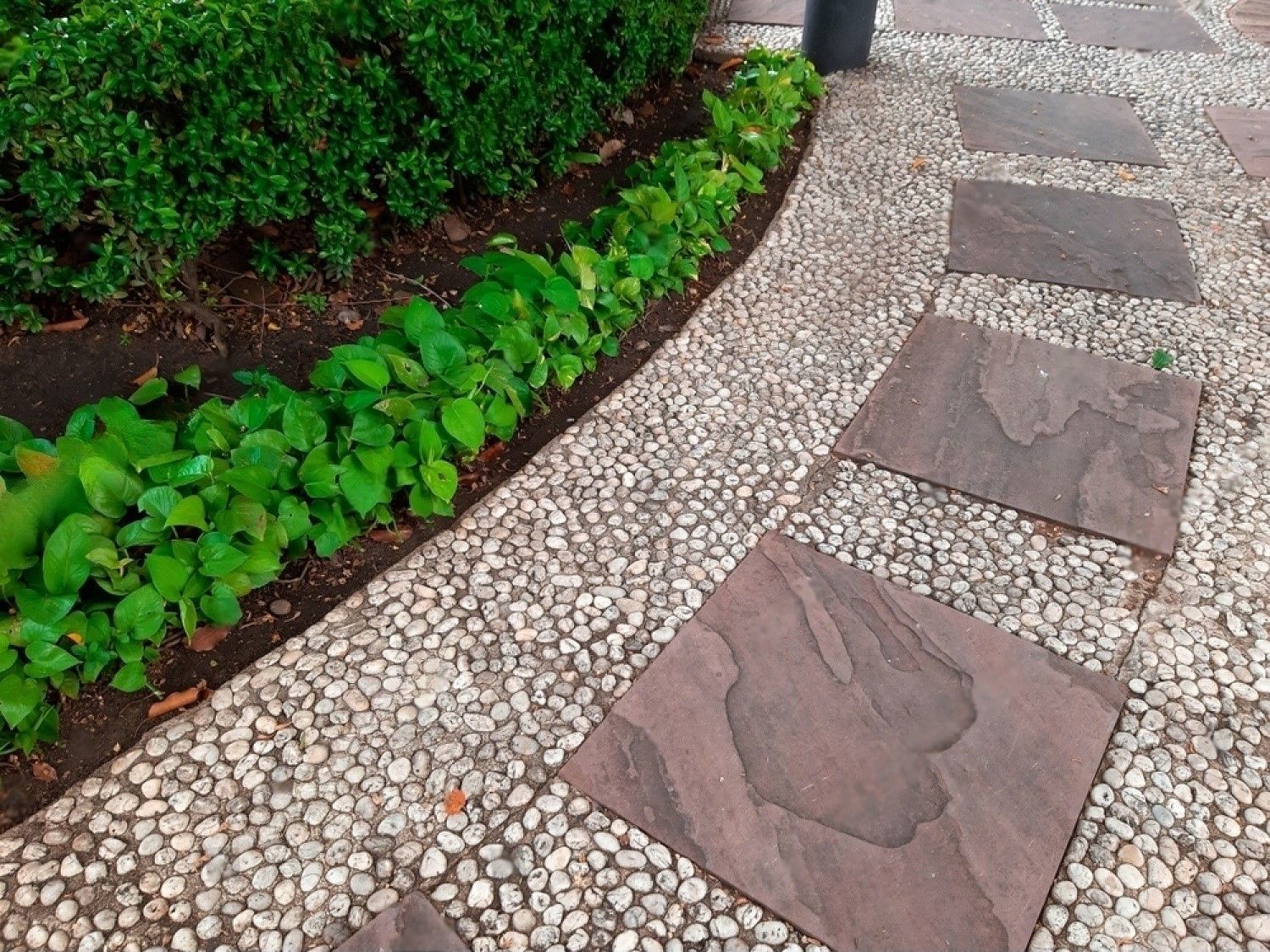 A stone walkway with a few plants on the side