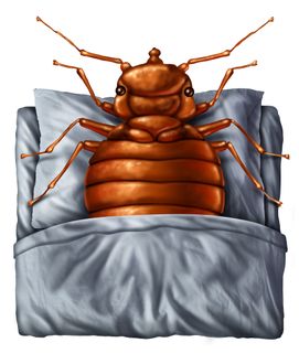 a bed bug is laying on a pillow on a bed