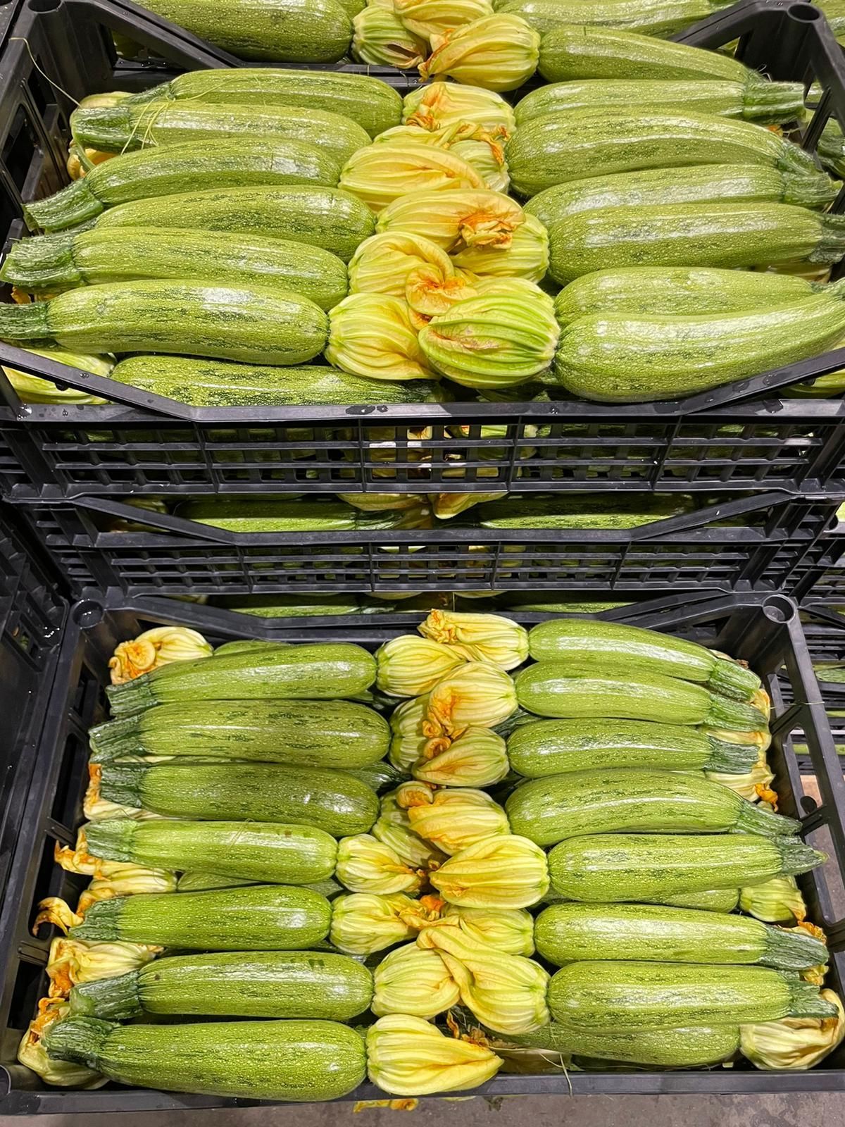 zucchine chiare con fiore