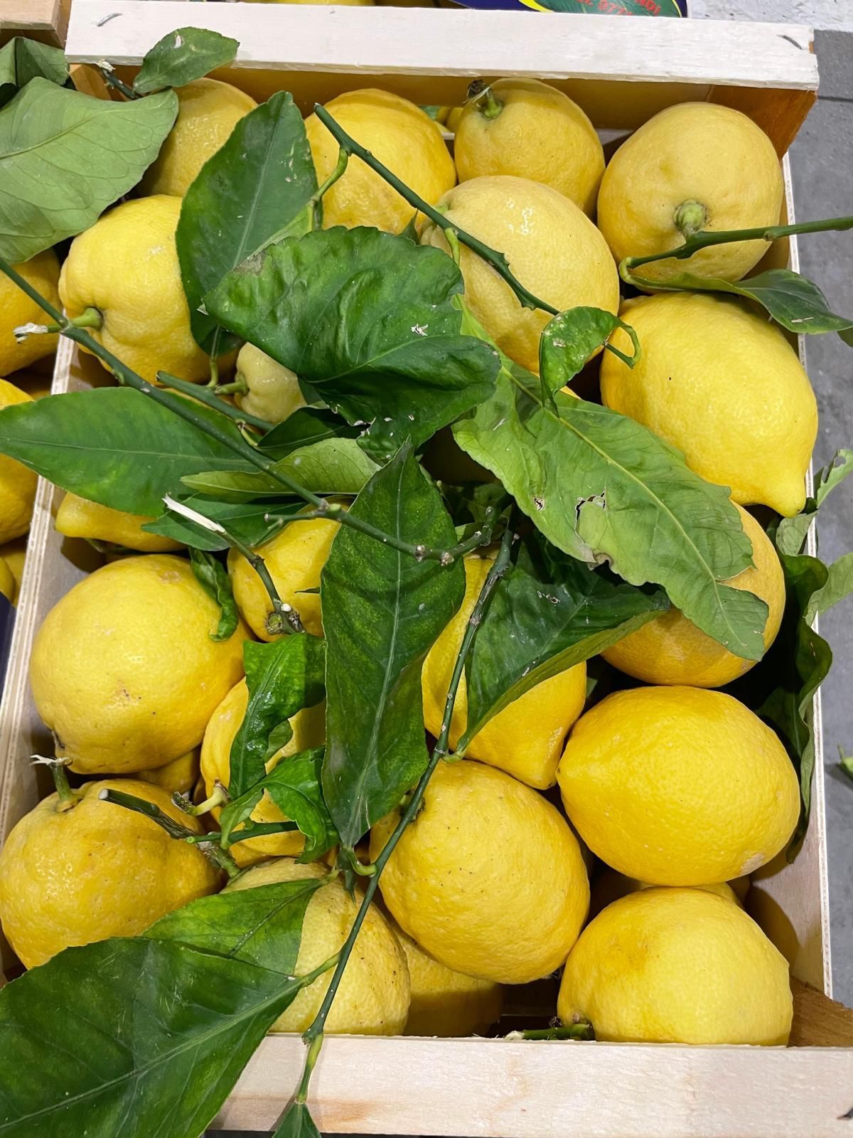 limoni
