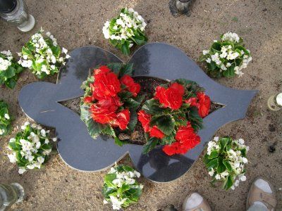 Atliktų darbų pavyzdžiai