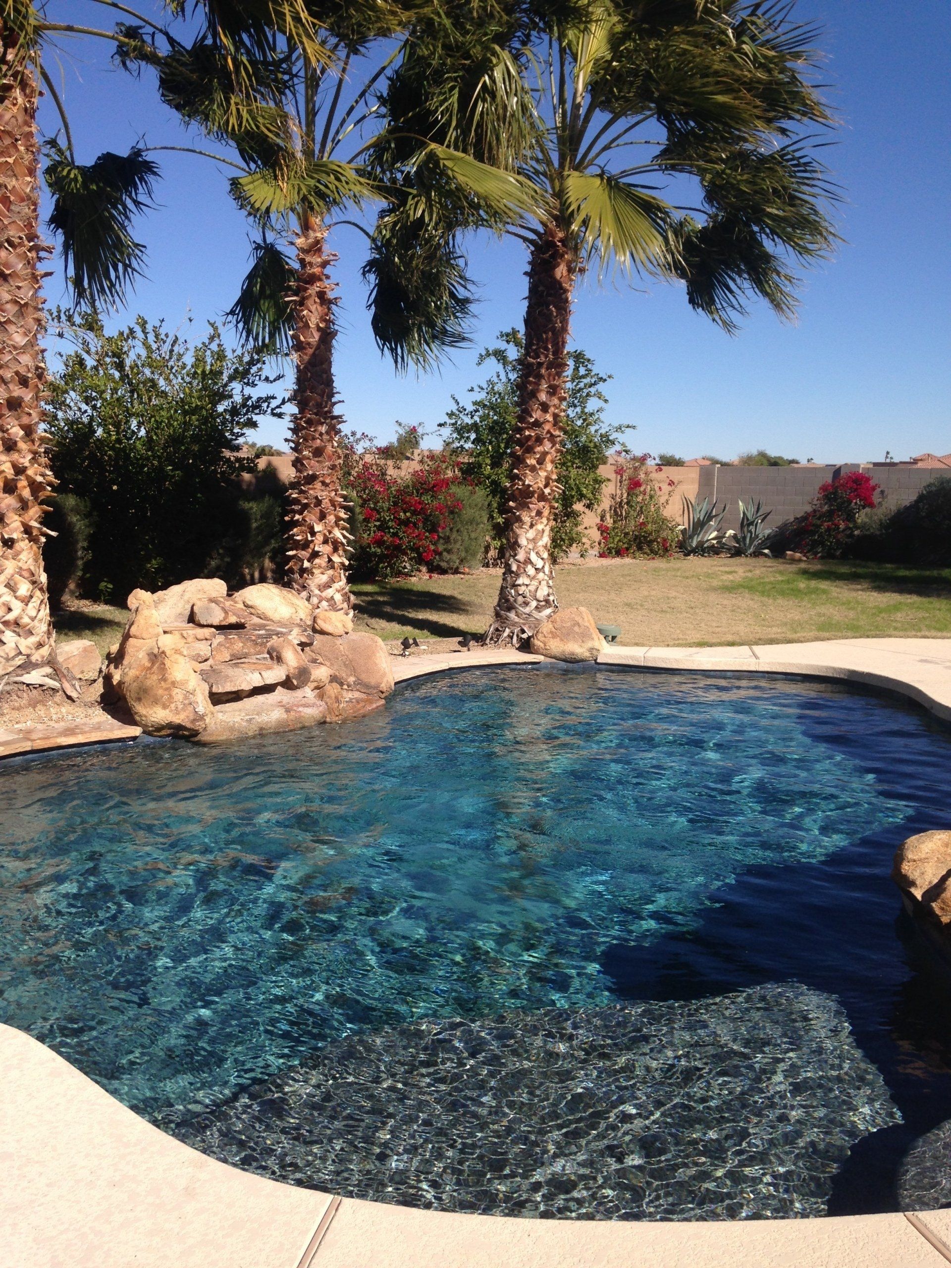 Monthly pool service