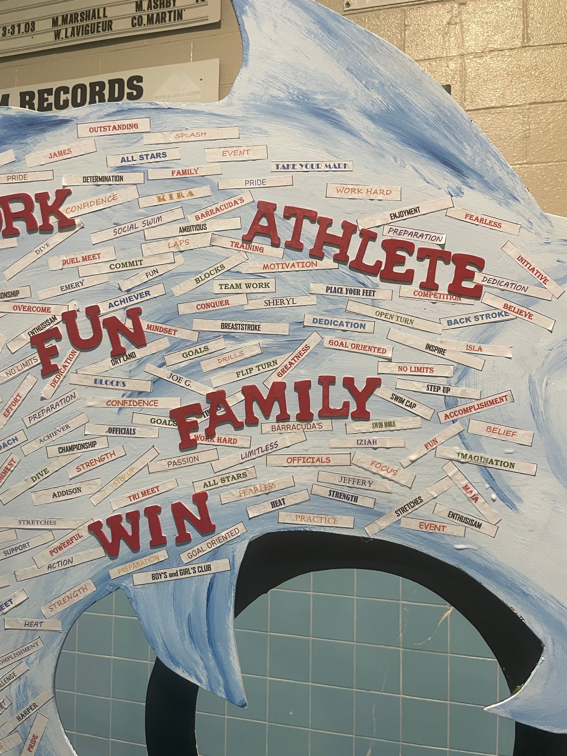 Barracudas Swim Team