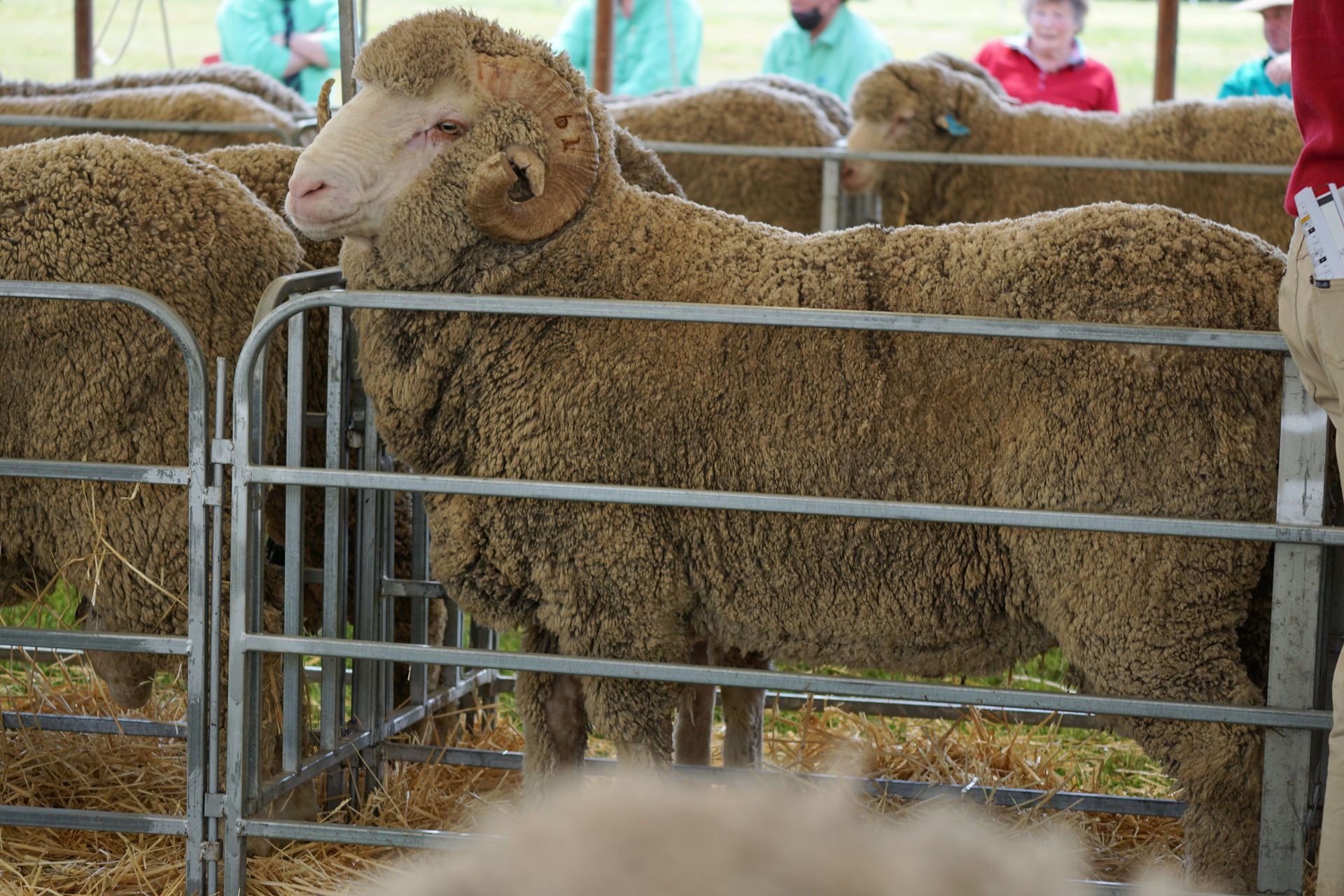 2021 Ram Sale