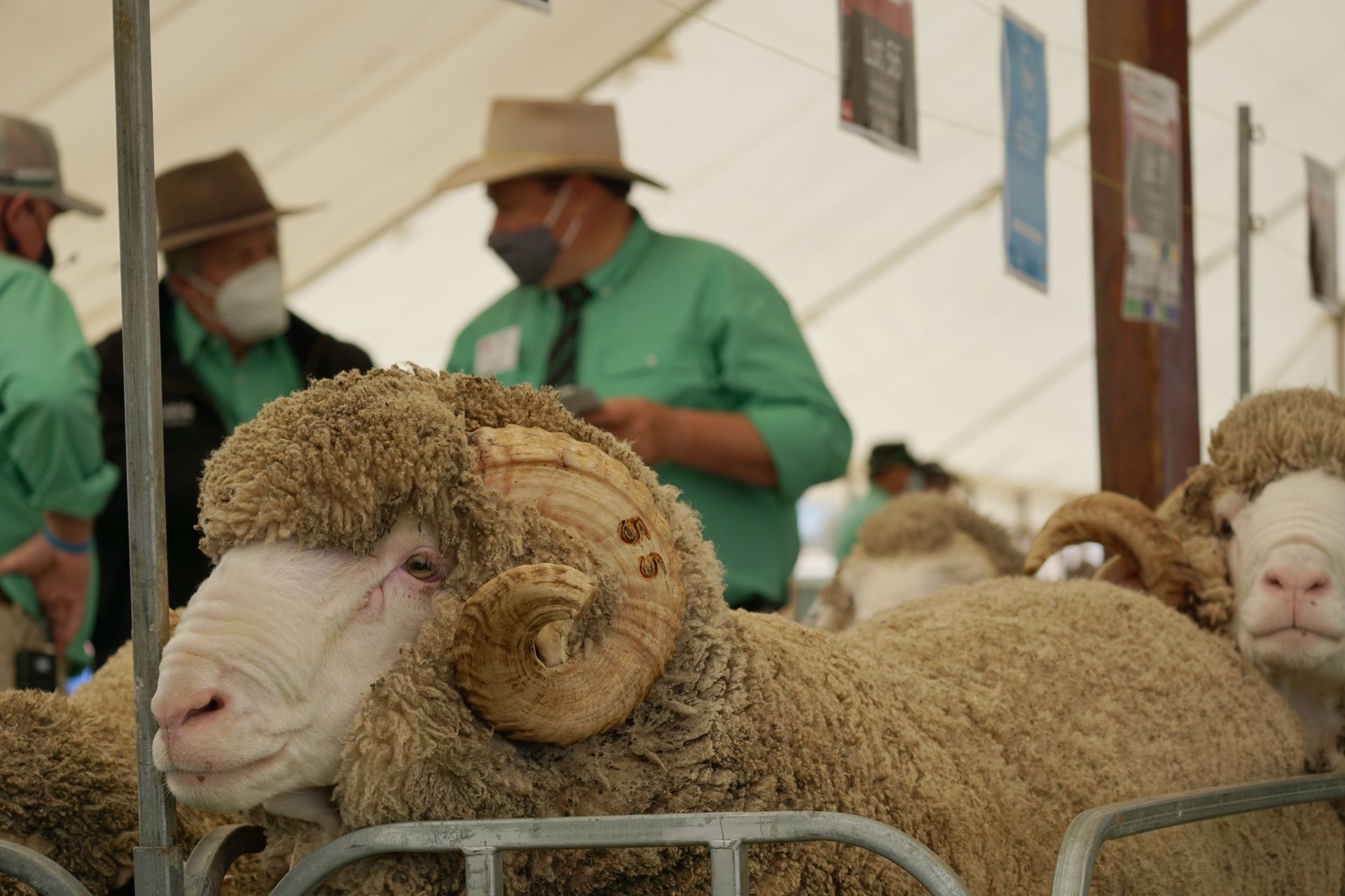 2021 Ram Sale