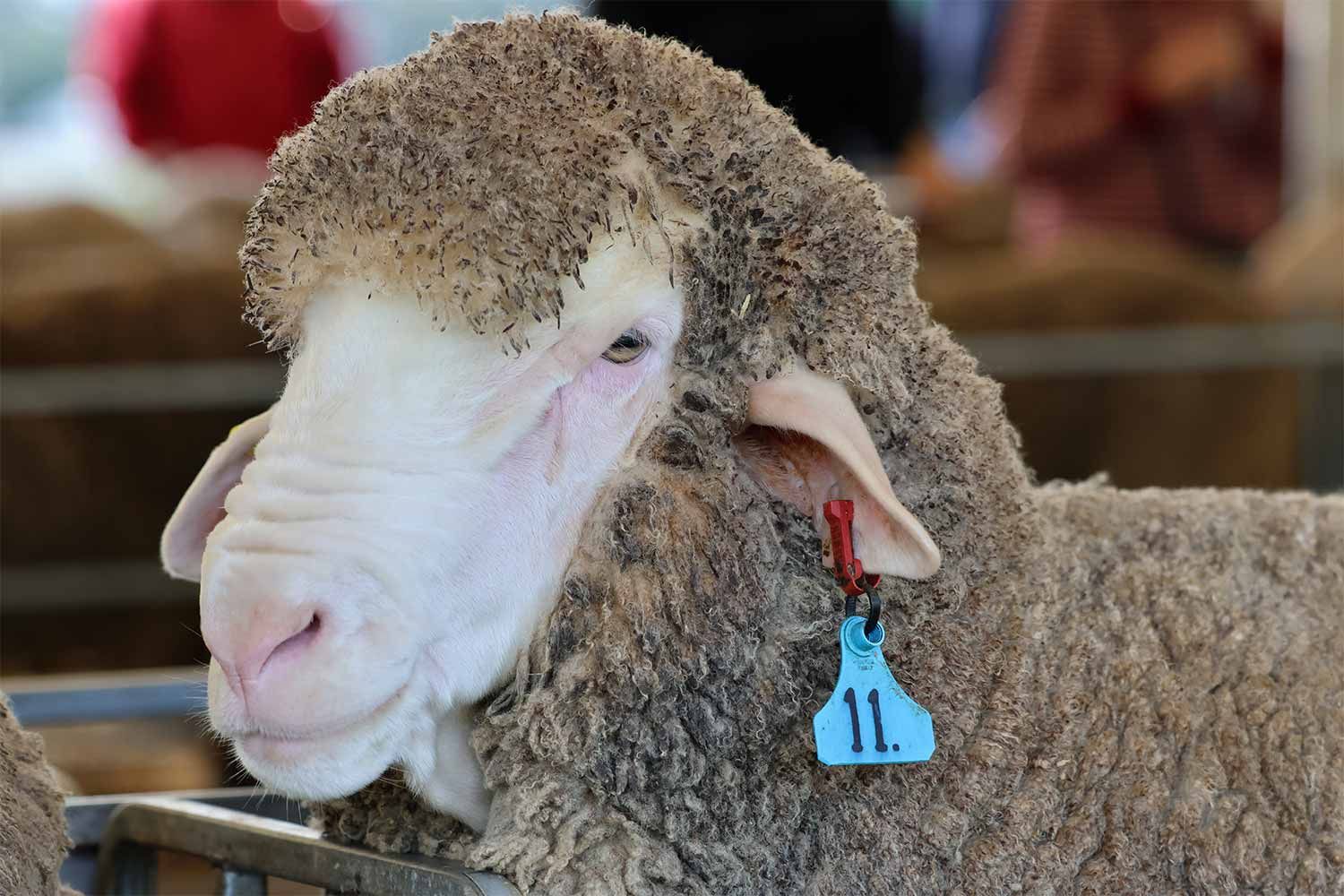 2022 Ram Sale