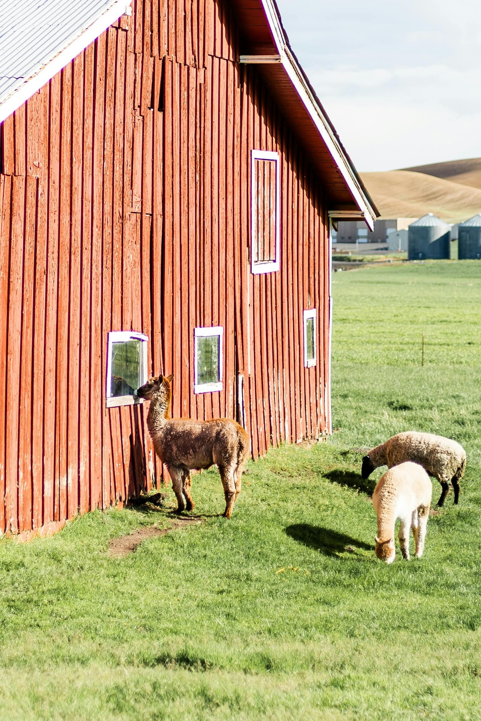 A barista taking an order from two customers at a cafe counter.
