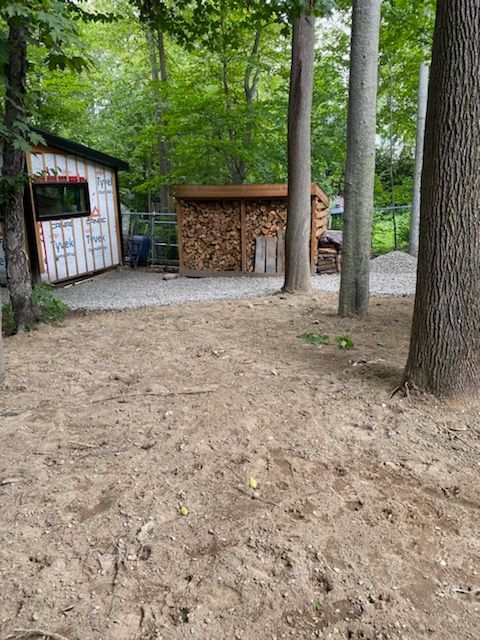 Il y a un cabanon au milieu des bois entouré d'arbres.