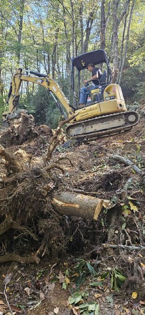 A man is driving a bulldozer through a forest.