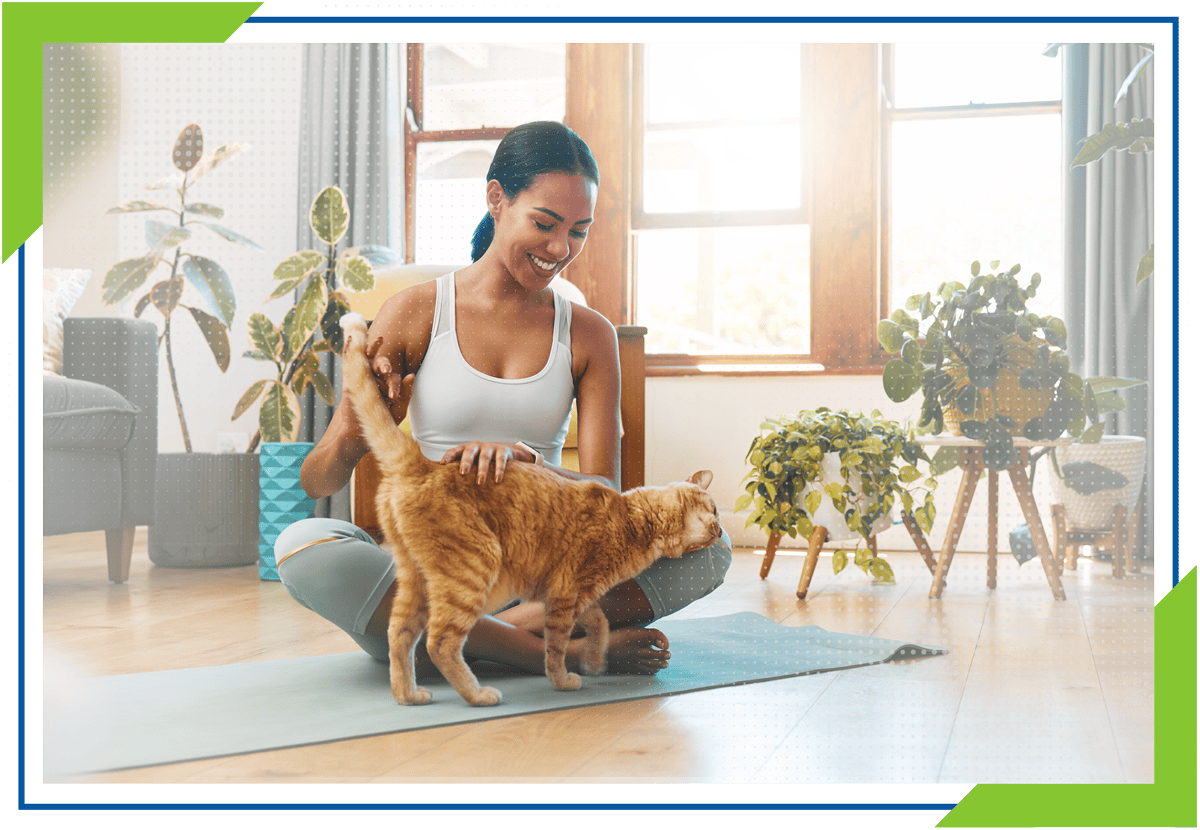 Pet Insurance - SHBG | Insurance Services