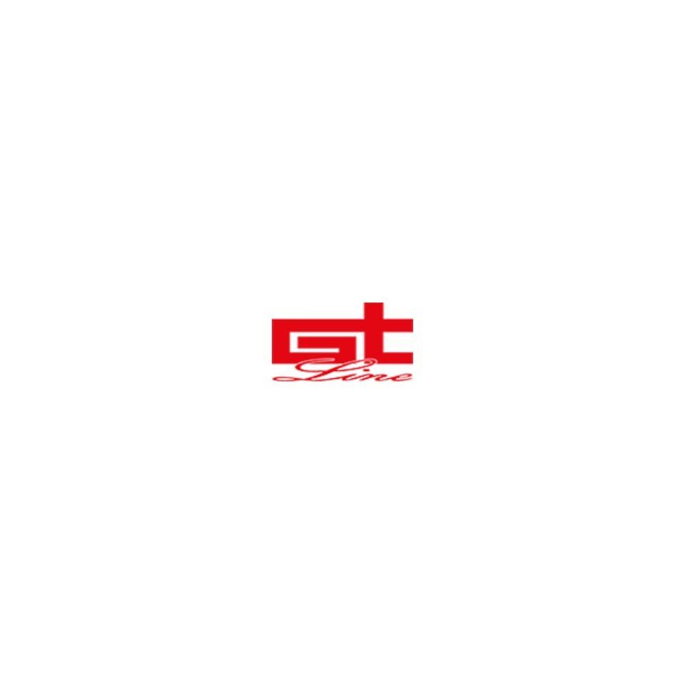 GT logo