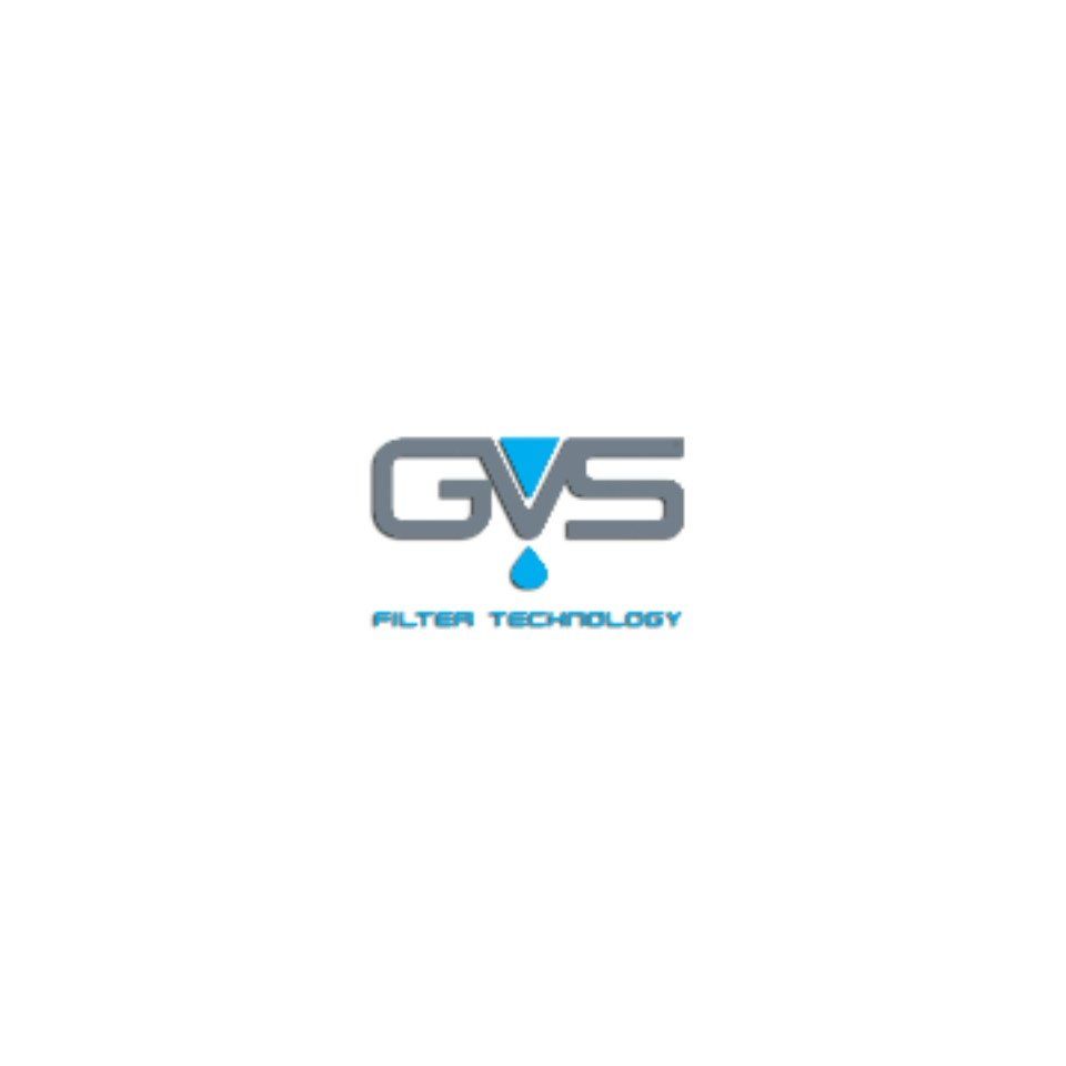 GVS logo