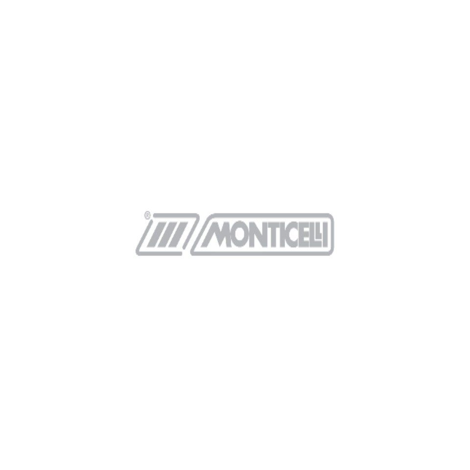 Monticelli logo