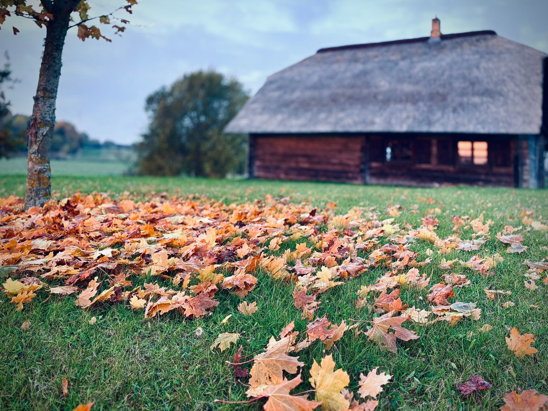 MBM construction nuotraukos