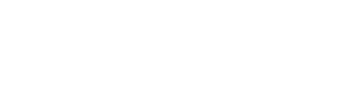 Back to Basics Wellness logo