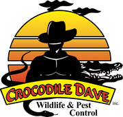 Crocodile Dave Pest Control