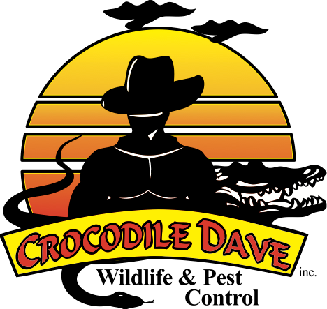 Crocodile Dave Pest Control