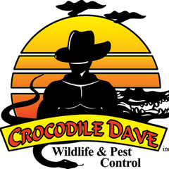 Crocodile Dave Pest Control