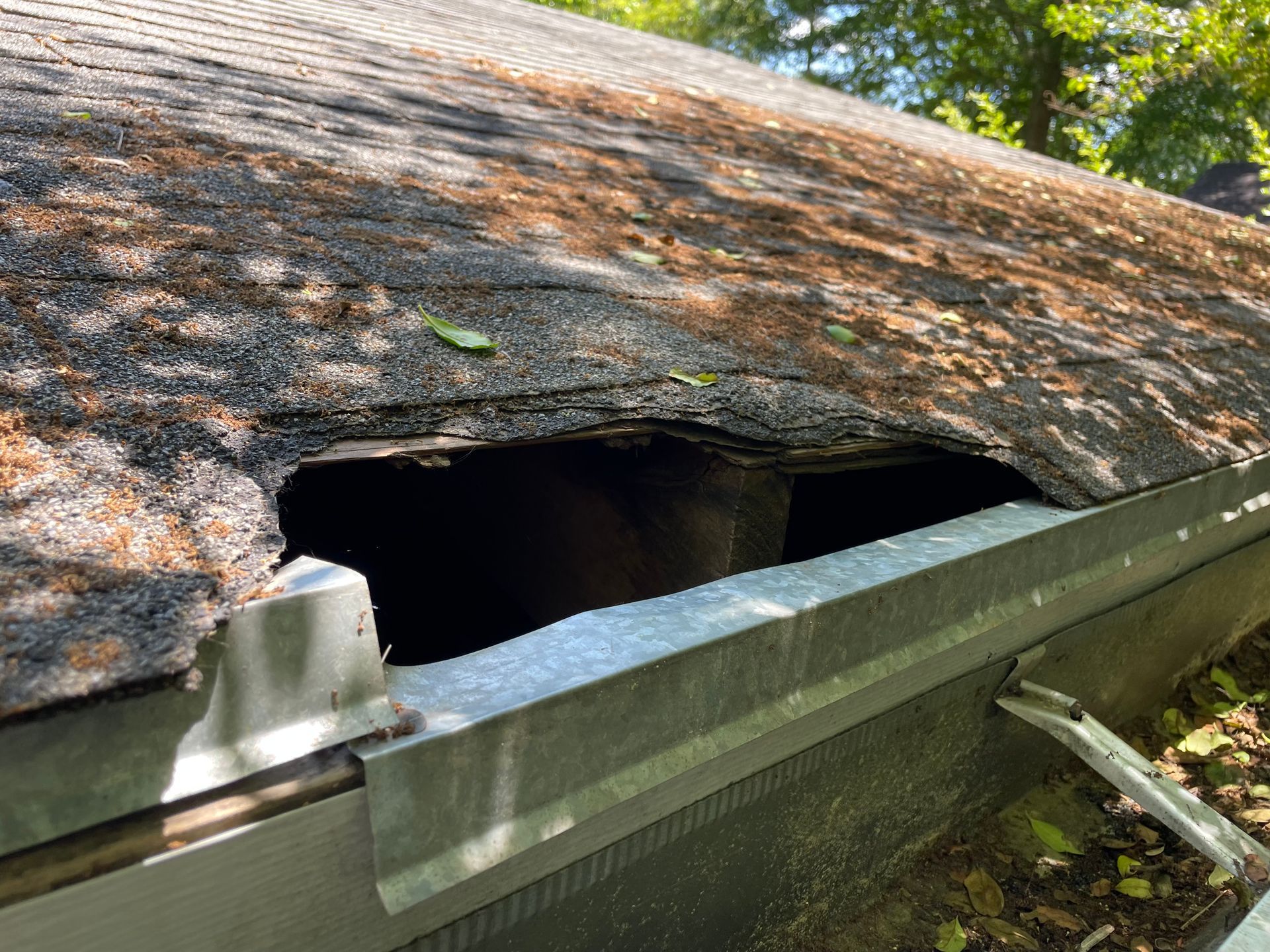 A roof with a hole in it caused by a Raccoon.