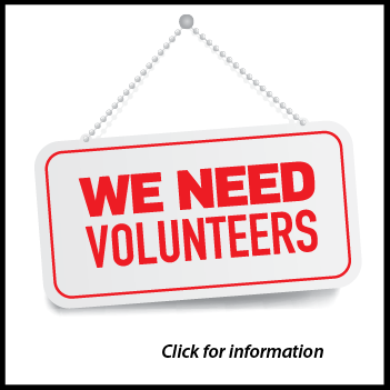 Become a KNIB volunteer
