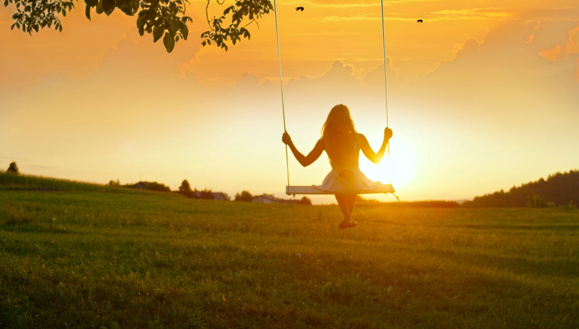 Woman on swing silhouetted against a setting sun over a green field.