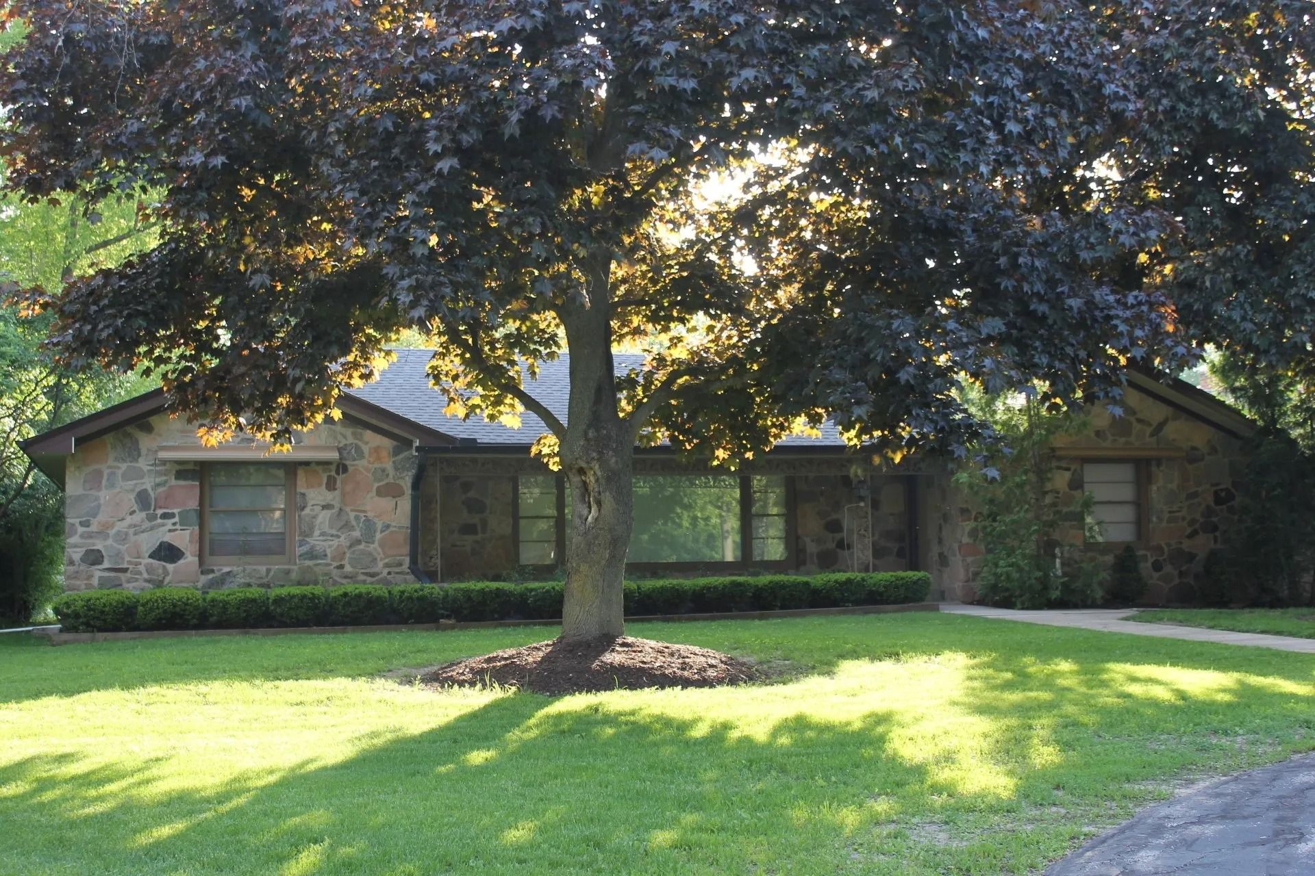 Stone house with a large tree in front, green lawn, sunlight shining through leaves.