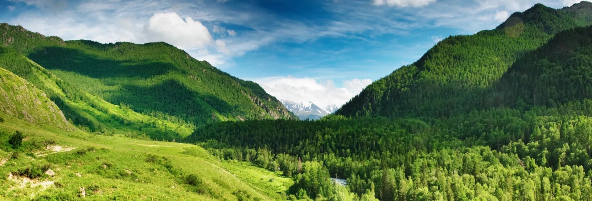 Lush green mountains and a valley, under a bright blue sky.