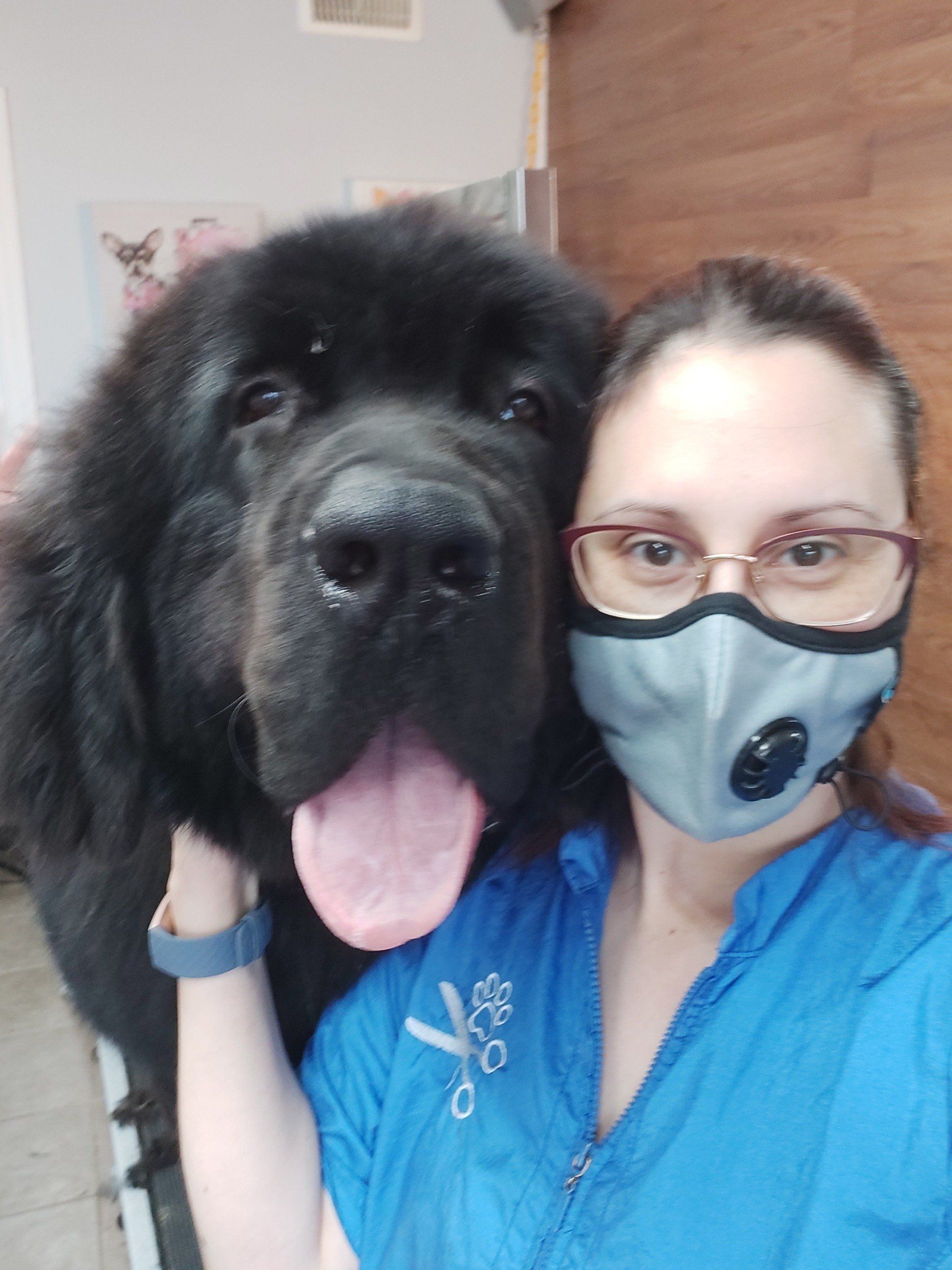 Professional dog groomers clarington | Professional dog grooming clarington