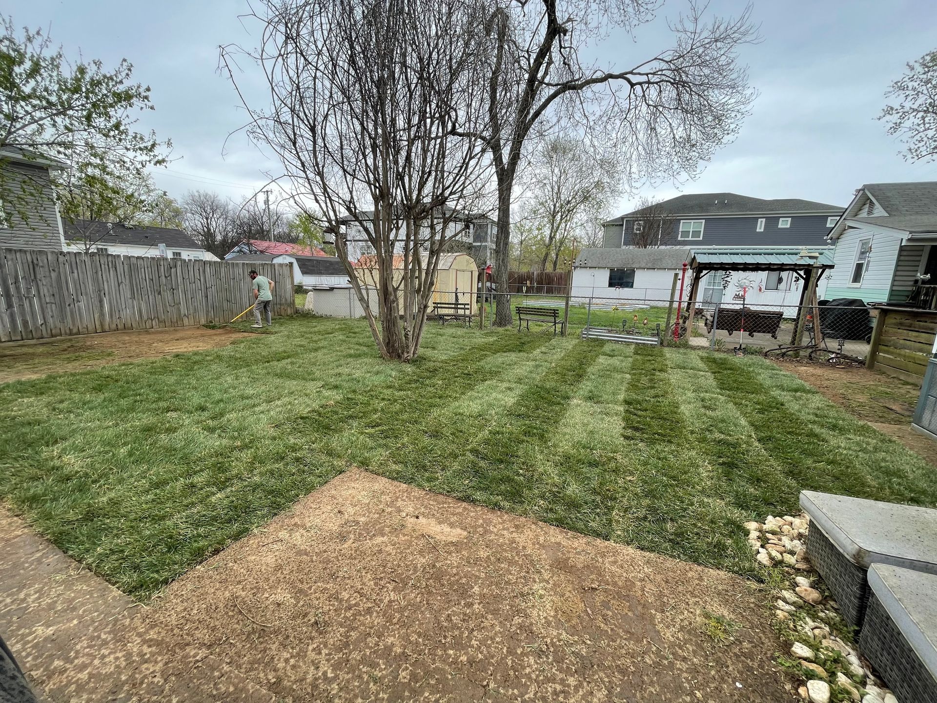 Lawn mowed in stripes, in a backyard. Gray sky, houses and trees in the background.