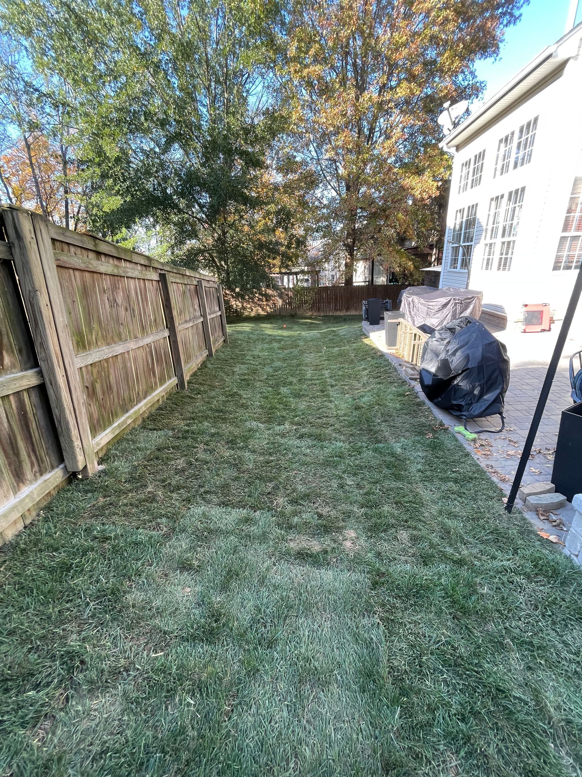 A backyard with a wooden fence and a lush green lawn.