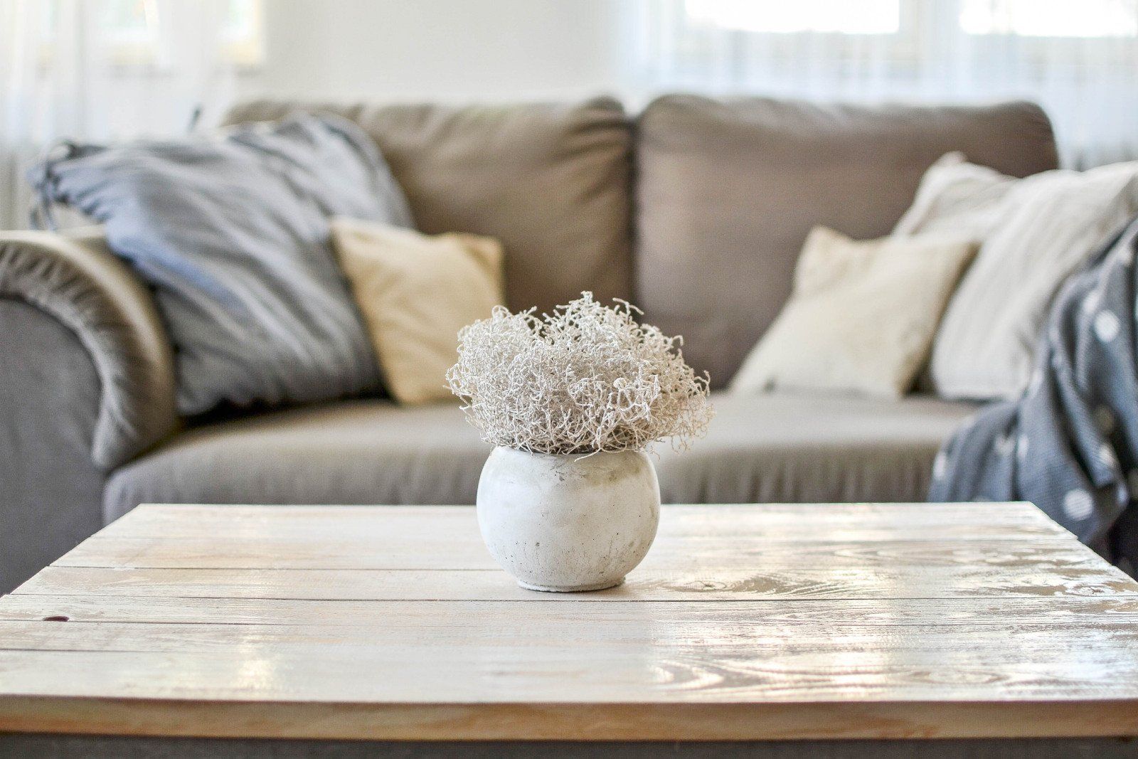 A vase of baby 's breath is sitting on a wooden table in front of a couch.