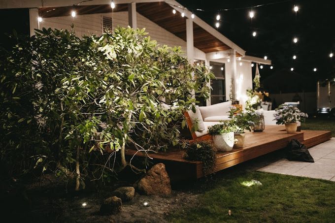 landscape lighting with accent lighting, uplighting, wall washing, downlighting