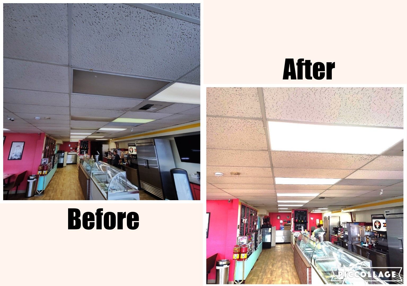 Shop | Colorado Springs, | CO Light of the World Electric