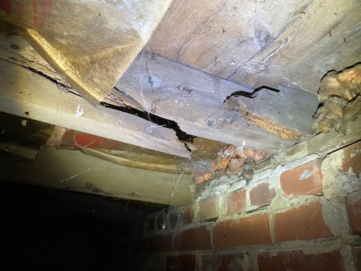 A spider is crawling under a wooden beam in a brick wall.