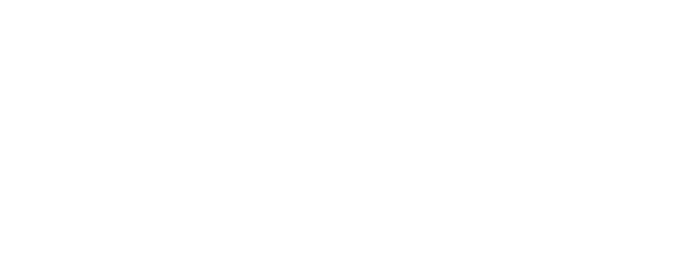 Litigation Legal