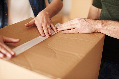 Shoes in Box