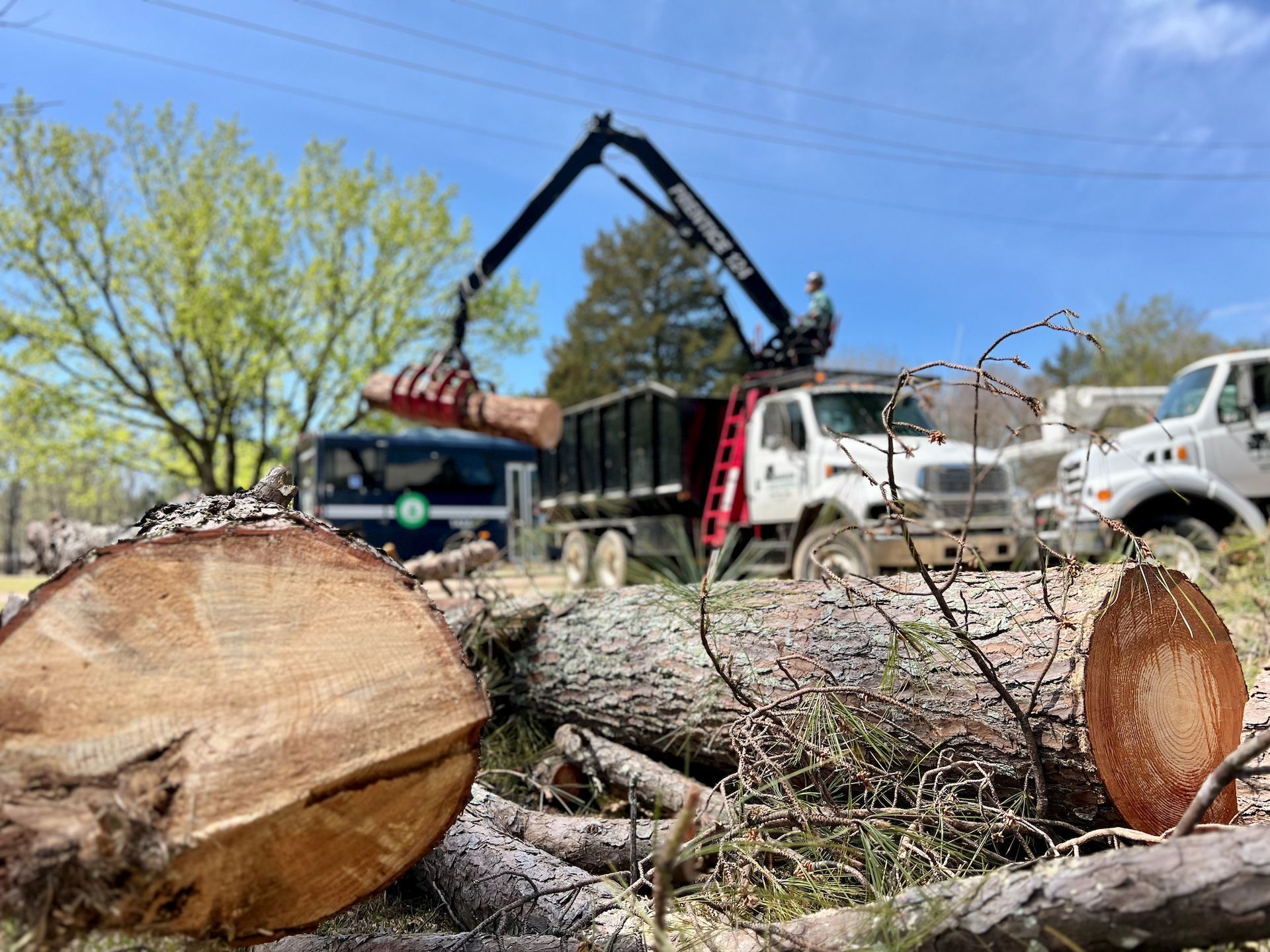 A truck crane loading tree logs into a dump truck, with cut logs in the foreground under a blue sky.