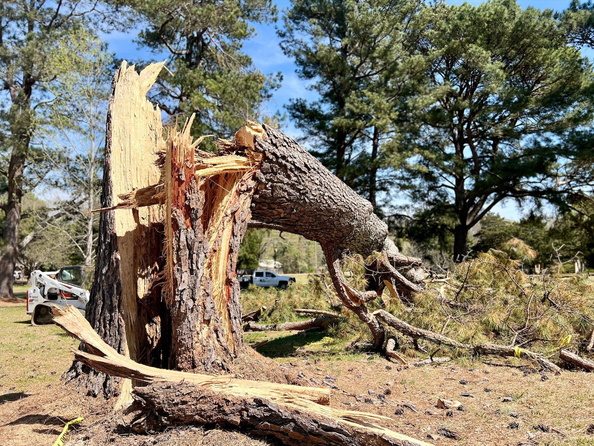 Large tree trunk split and fallen, debris on ground, small truck and equipment in background.