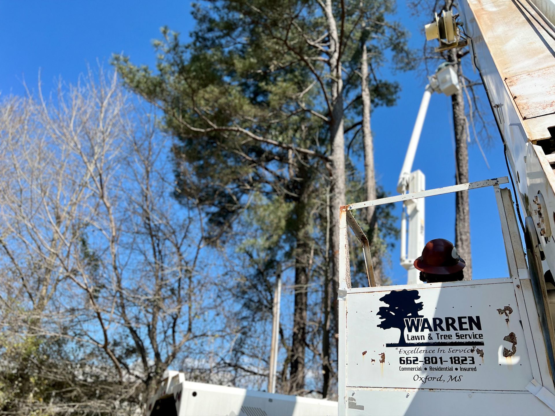 White Warren tree service truck with a cherry picker arm extended toward trees against a blue sky.