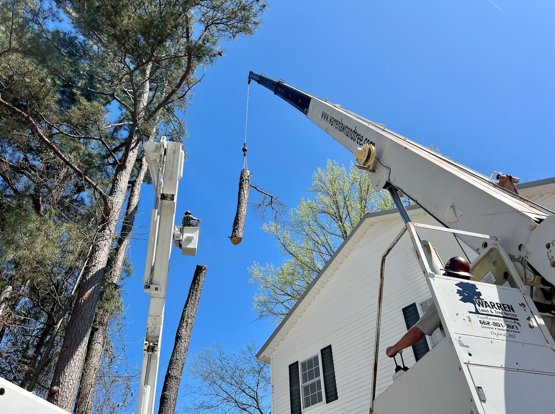 Two cranes removing tree branches next to a white house under a blue sky.