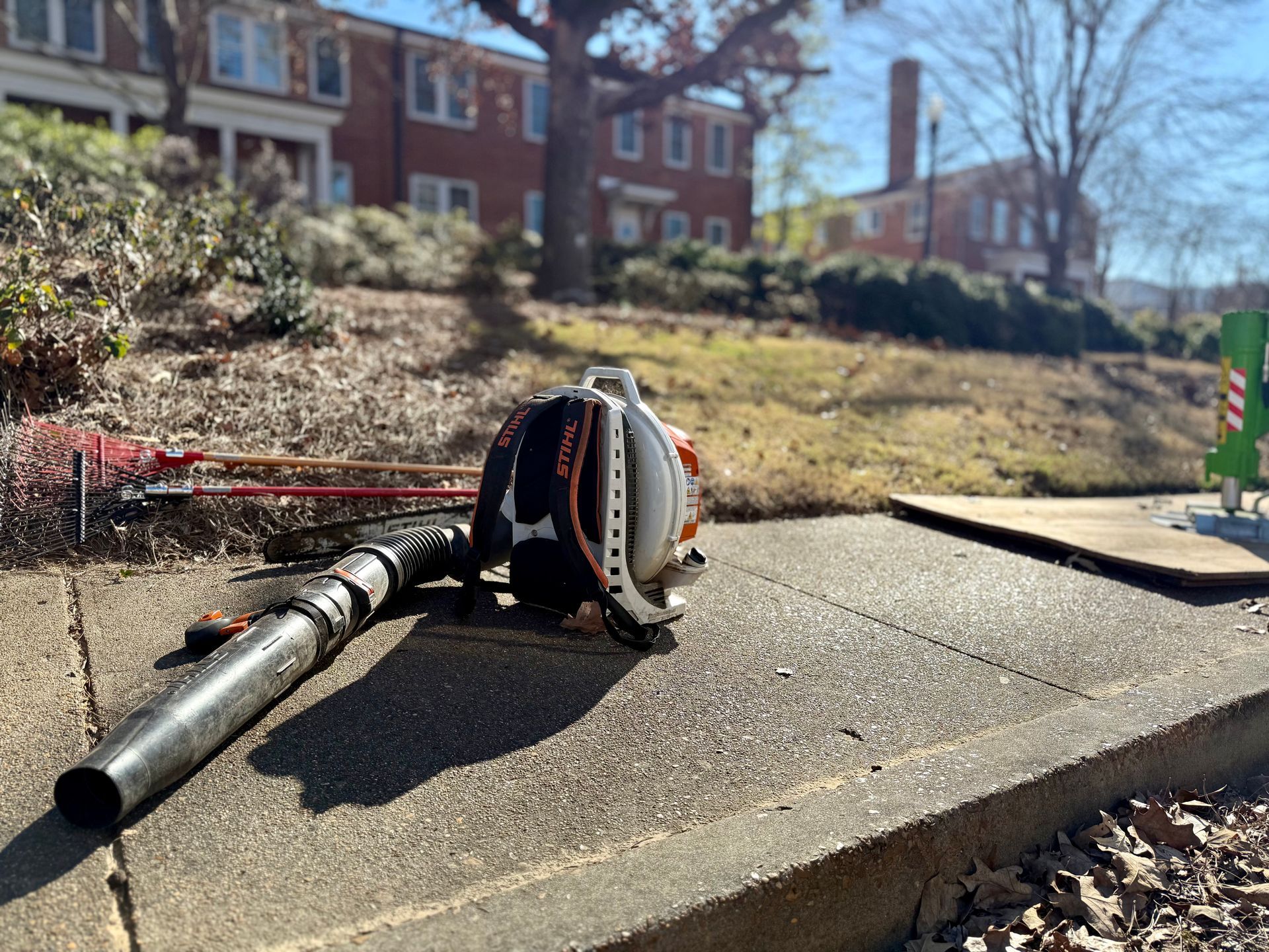 A leaf blower sits on a concrete curb. A residential neighborhood is in the background.