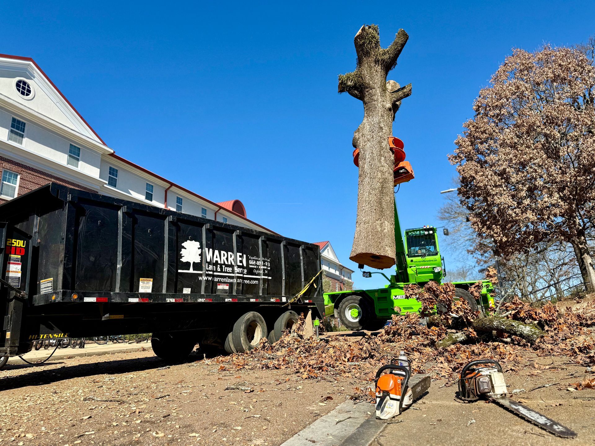 Tree removal: Green machine lifting tree trunk, black truck, chainsaws on ground. Sunny day, building in background.
