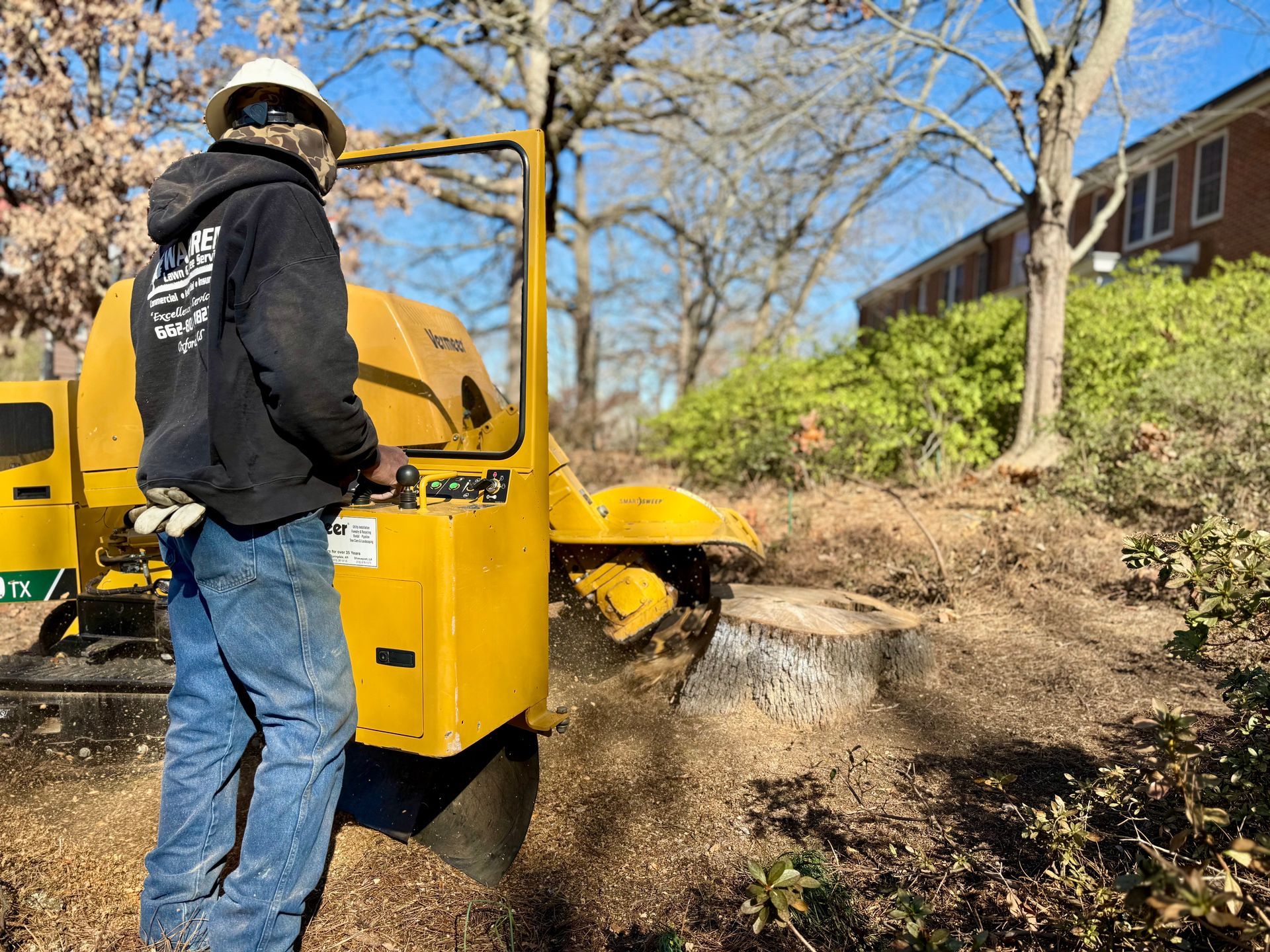 Person operating a yellow stump grinder, wood chips flying. Outdoors, near a house and trees.